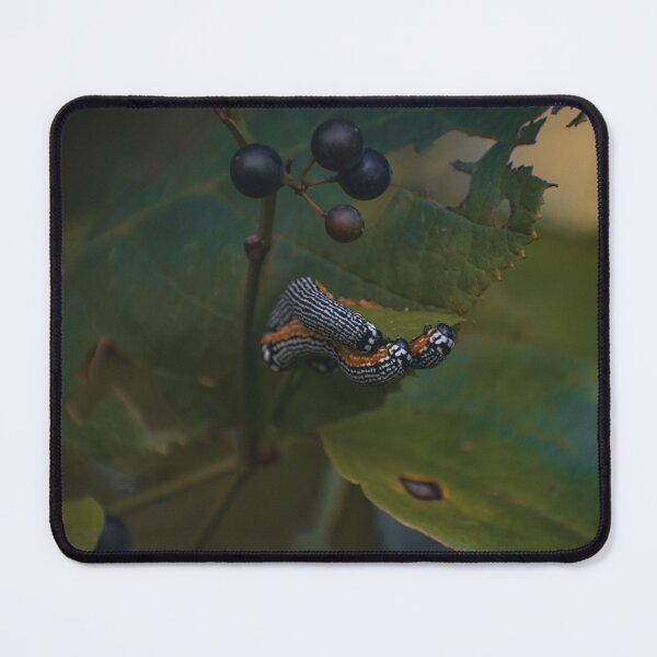 Item preview, The Turbulent Phosphila Caterpillar  designed and sold by Hazardous Dreams Media.