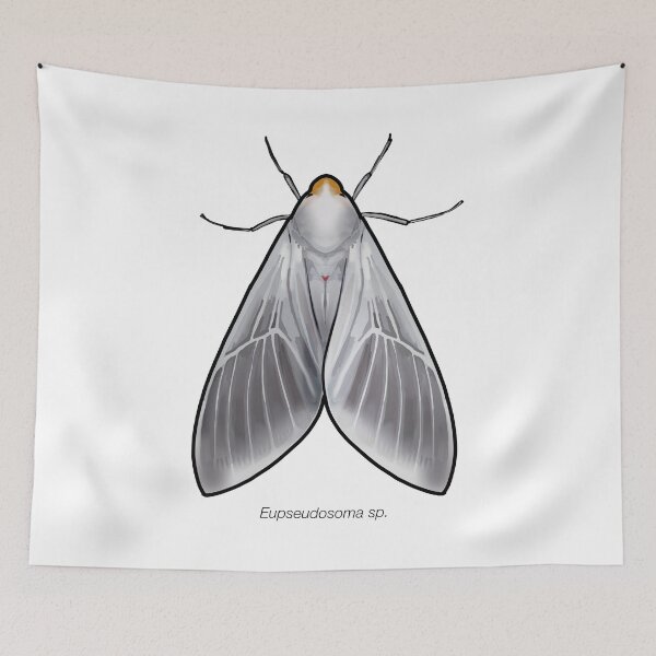 Item preview, Eupseudosoma sp., labeled designed and sold by marinemolecules.