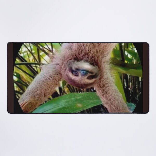 Item preview, cute upside down sloth animal photo art  designed and sold by SmashingDeals.