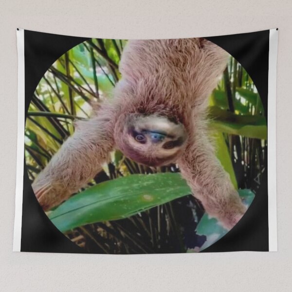 Item preview, cute upside down sloth animal photo art  designed and sold by SmashingDeals.