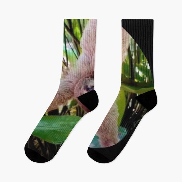 Item preview, cute upside down sloth animal photo art  designed and sold by SmashingDeals.