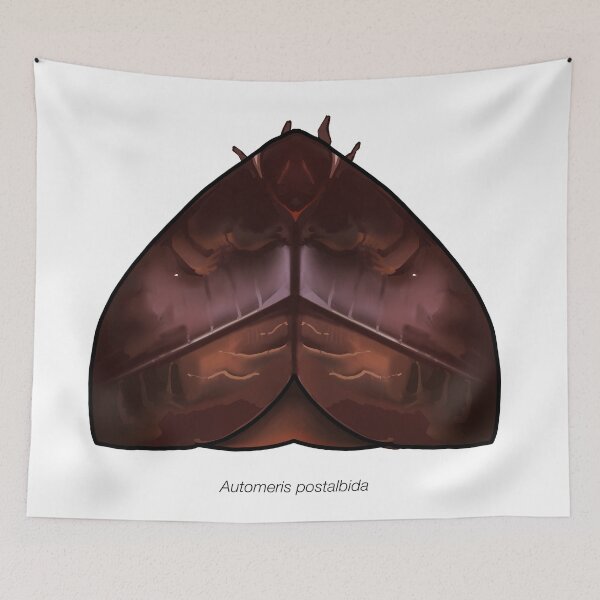 Item preview, Automeris postalbida, labeled designed and sold by marinemolecules.