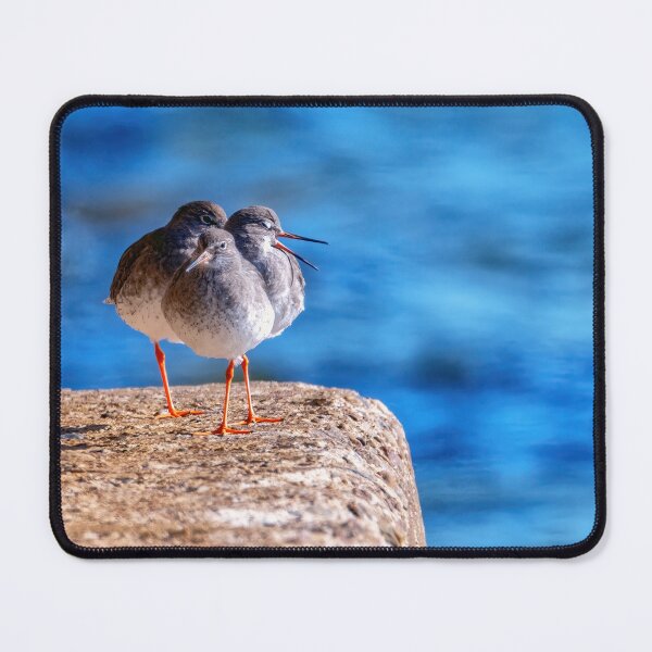 Item preview, Redshank Trio designed and sold by Tom McPherson Photography.