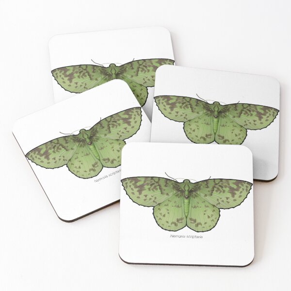 Item preview, Nemoria scriptaria, labeled designed and sold by marinemolecules.
