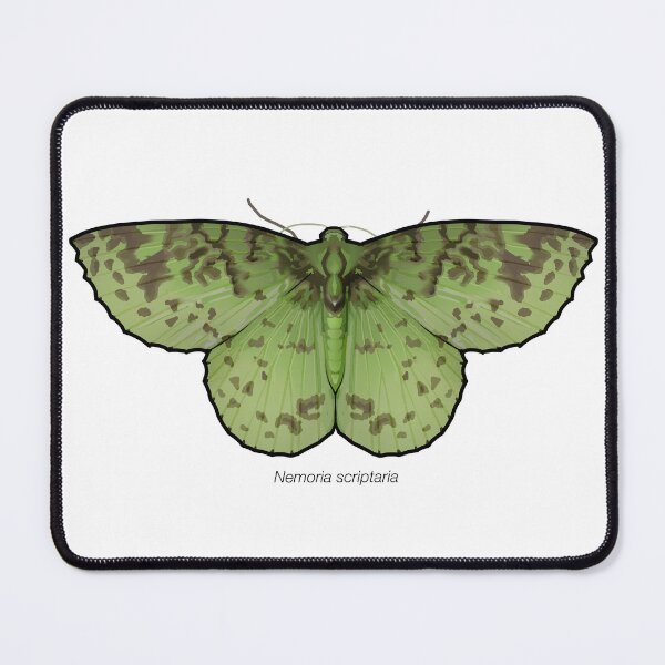Item preview, Nemoria scriptaria, labeled designed and sold by marinemolecules.