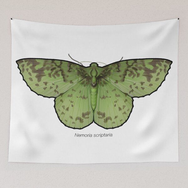 Item preview, Nemoria scriptaria, labeled designed and sold by marinemolecules.