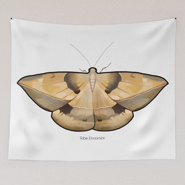 Item preview, Tribe Ennomini, labeled designed and sold by marinemolecules.