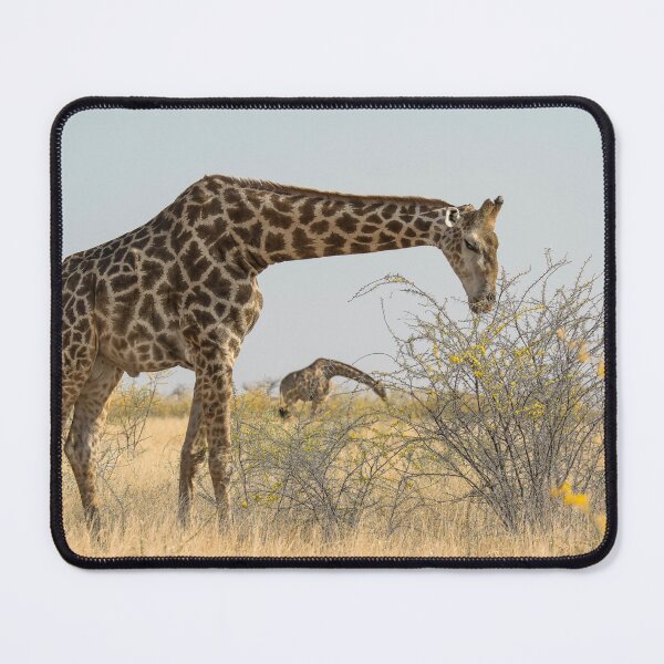Item preview, Gentle Grazer – Giraffe Browsing in the Etosha Savanna designed and sold by DavideAntoniani.
