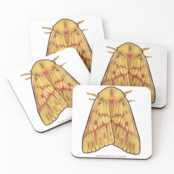 Item preview, Xanthodirphia amarilla, labeled designed and sold by marinemolecules.