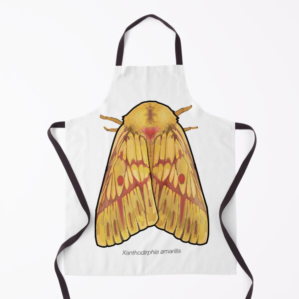 Item preview, Xanthodirphia amarilla, labeled designed and sold by marinemolecules.