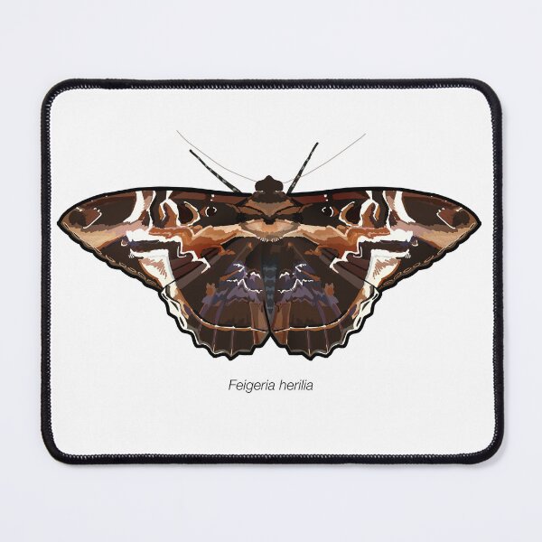 Item preview, Feigeria herilia, labeled designed and sold by marinemolecules.