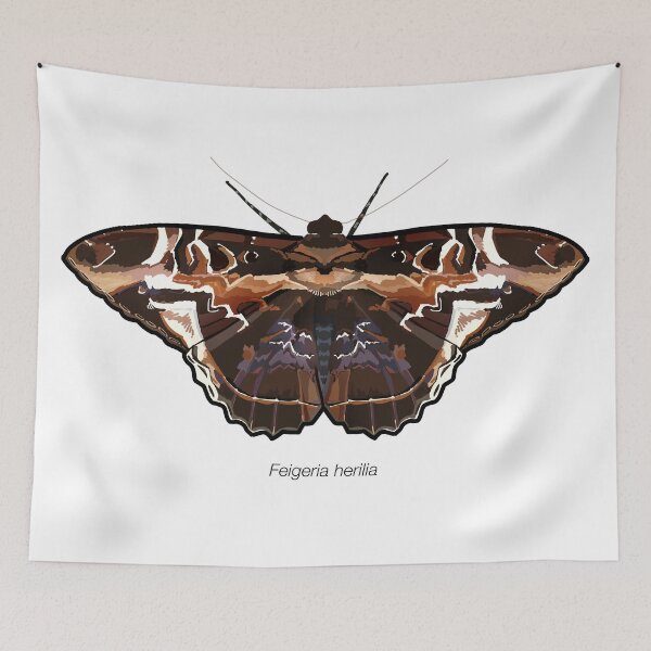 Item preview, Feigeria herilia, labeled designed and sold by marinemolecules.