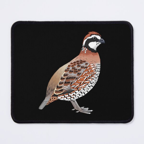 Item preview, Northern Bobwhite 	 1	 designed and sold by bnhrumyx5.