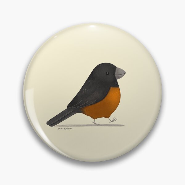 Item preview, Chestnut Bellied Seed Finch designed and sold by julianamotzko.