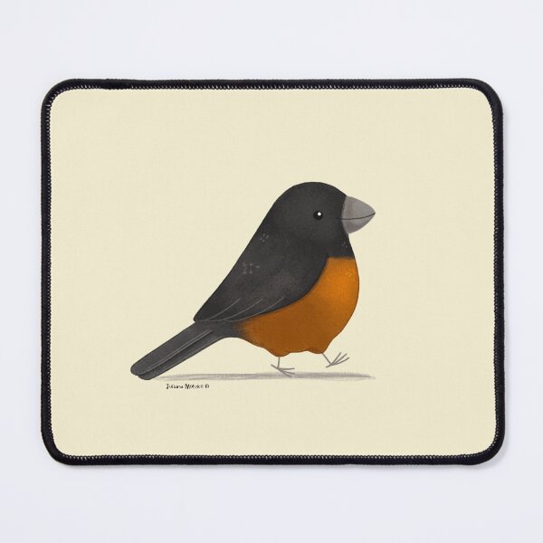 Item preview, Chestnut Bellied Seed Finch designed and sold by julianamotzko.