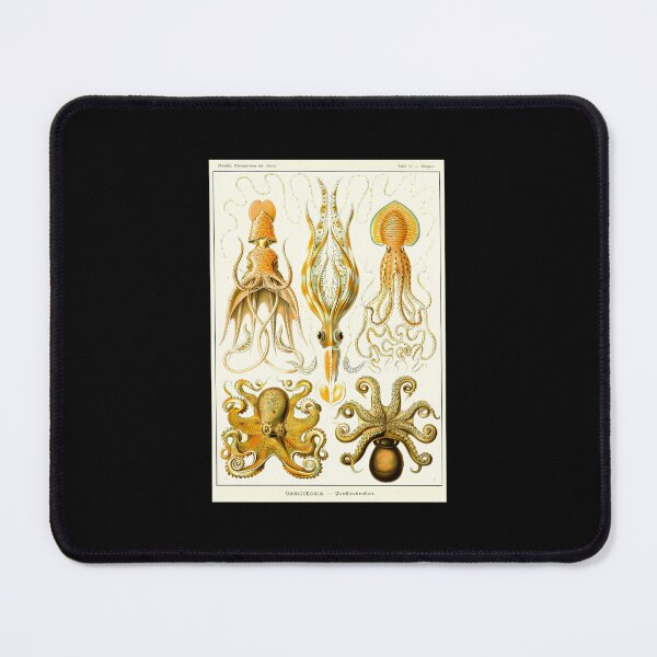 Item preview, Plate 54. Gamochonia	 designed and sold by aitufgqc68.