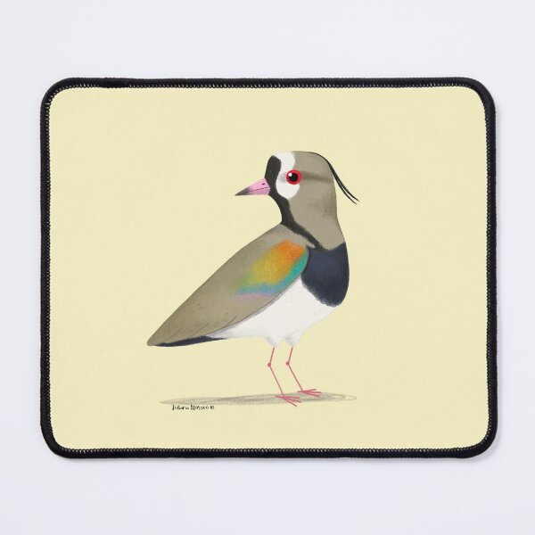 Item preview, Southern Lapwing designed and sold by julianamotzko.