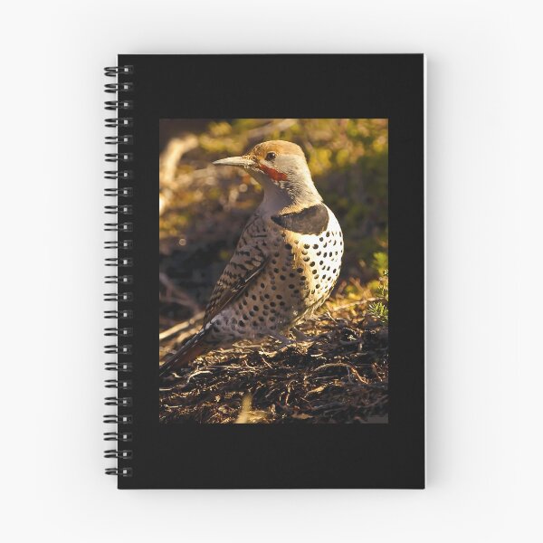 Item preview, Northern Flicker Throw Pillow 	 designed and sold by bnhrumyx5.