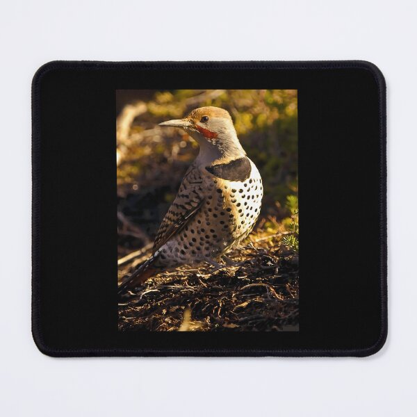 Item preview, Northern Flicker Throw Pillow 	 designed and sold by bnhrumyx5.