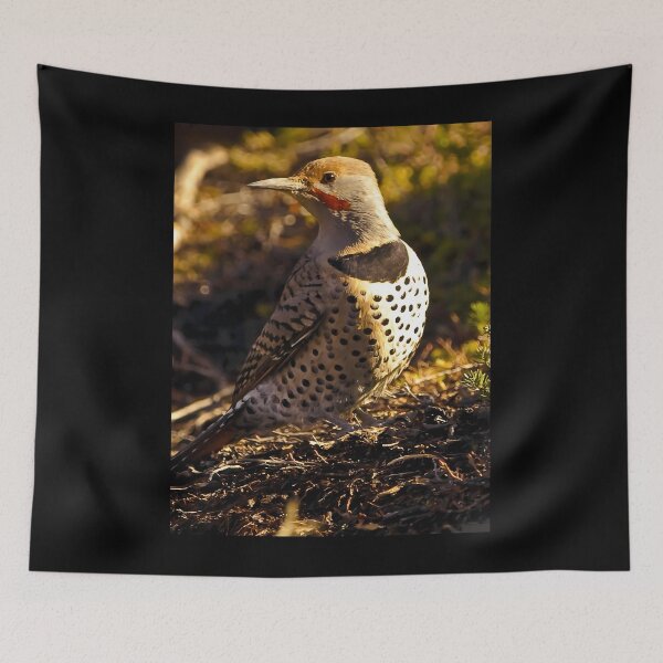 Item preview, Northern Flicker Throw Pillow 	 designed and sold by bnhrumyx5.