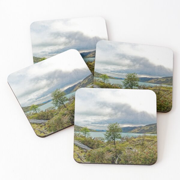 Item preview, The wilderness of Patagonia designed and sold by stevepaint.