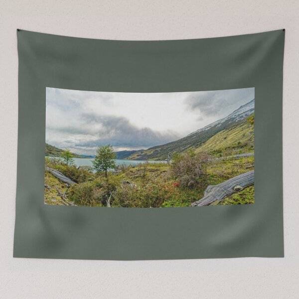 Item preview, The wilderness of Patagonia designed and sold by stevepaint.