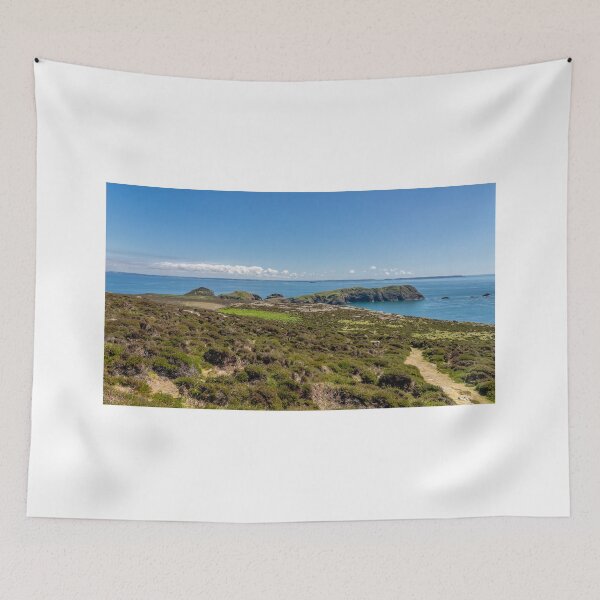 Item preview, Walking Ramsey Island, South Wales designed and sold by yackers1.
