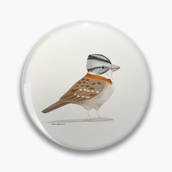 Item preview, Rufous Collared Sparrow designed and sold by julianamotzko.