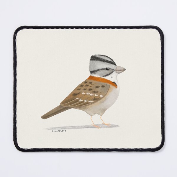 Item preview, Rufous Collared Sparrow designed and sold by julianamotzko.