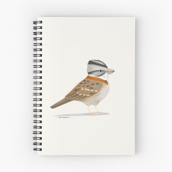 Item preview, Rufous Collared Sparrow designed and sold by julianamotzko.
