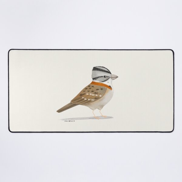 Item preview, Rufous Collared Sparrow designed and sold by julianamotzko.