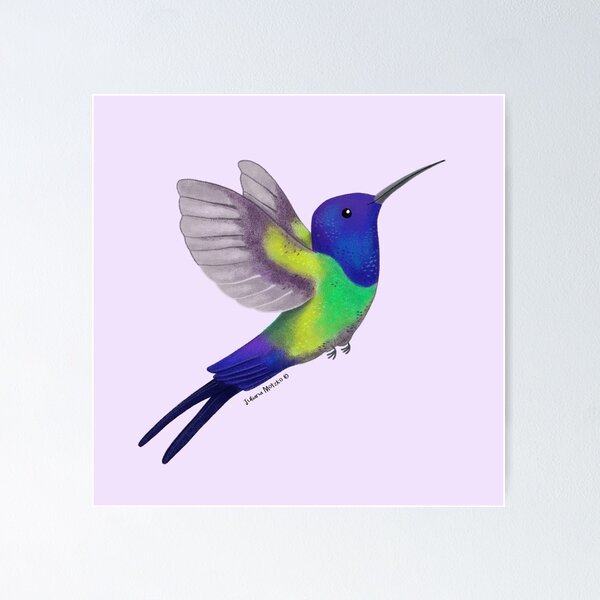 Item preview, Swallow Tailed Hummingbird designed and sold by julianamotzko.