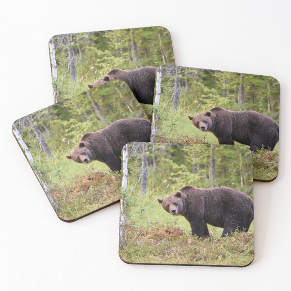 Item preview, Sideways. Brown bear 2025 designed and sold by Jouko Lehto Photography.