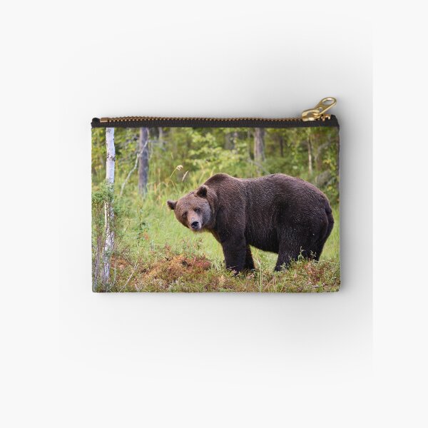 Item preview, Sideways. Brown bear 2025 designed and sold by Jouko Lehto Photography.