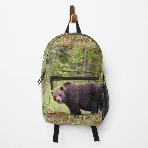Item preview, Sideways. Brown bear 2025 designed and sold by Jouko Lehto Photography.