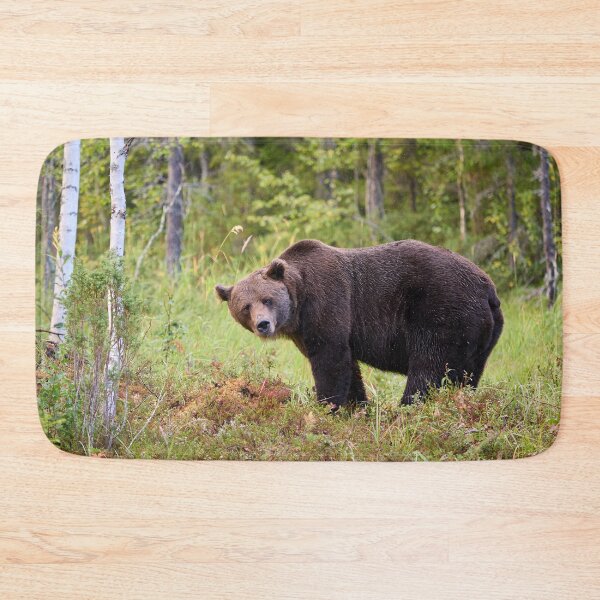 Item preview, Sideways. Brown bear 2025 designed and sold by Jouko Lehto Photography.