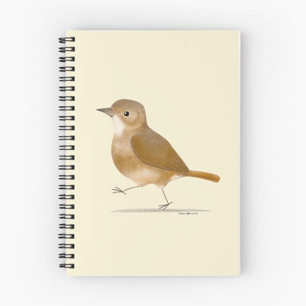 Item preview, Rufous Hornero 2  designed and sold by julianamotzko.