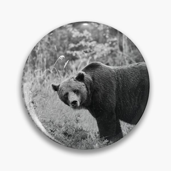 Item preview, Sideways. Brown bear 2025 bw designed and sold by Jouko Lehto Photography.