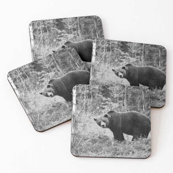Item preview, Sideways. Brown bear 2025 bw designed and sold by Jouko Lehto Photography.