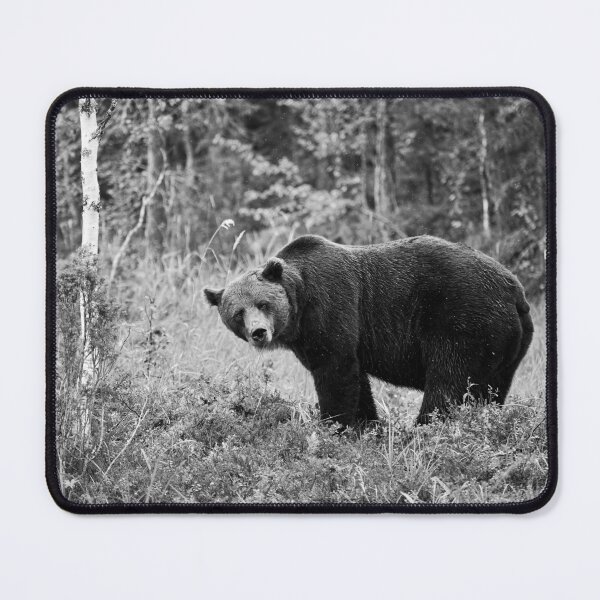 Item preview, Sideways. Brown bear 2025 bw designed and sold by Jouko Lehto Photography.