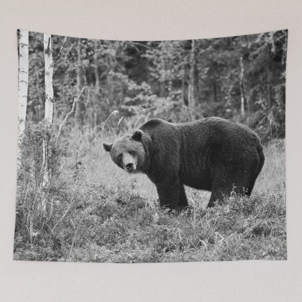 Item preview, Sideways. Brown bear 2025 bw designed and sold by Jouko Lehto Photography.