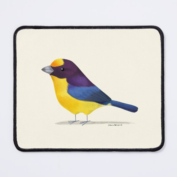 Item preview, Violaceous Euphonia designed and sold by julianamotzko.