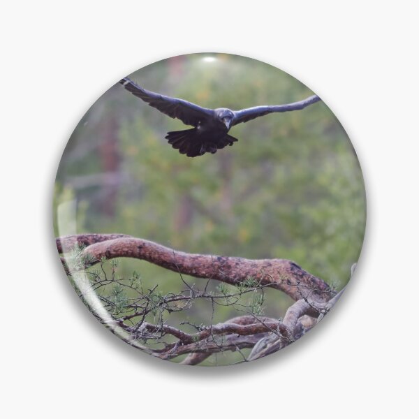 Item preview, In the air. Rraven designed and sold by Jouko Lehto Photography.