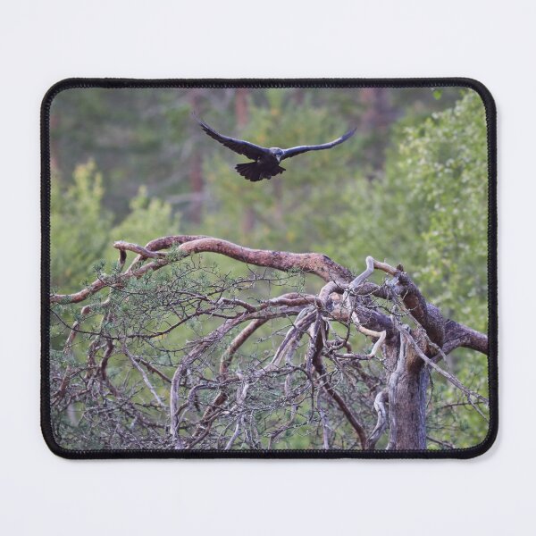Item preview, In the air. Rraven designed and sold by Jouko Lehto Photography.