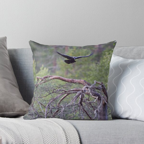 Item preview, En el aire. Cuervo designed and sold by Jouko Lehto Photography.