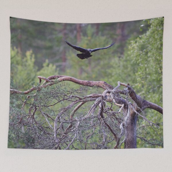 Item preview, In the air. Rraven designed and sold by Jouko Lehto Photography.