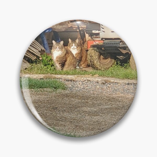 Item preview, Indie Album Covers feat. Catss designed and sold by Chez Mae.