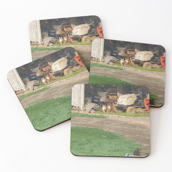 Item preview, Indie Album Covers feat. Catss designed and sold by Chez Mae.