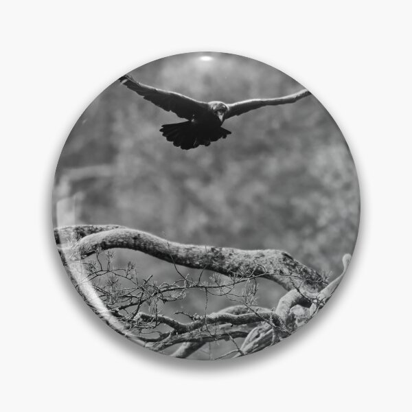 Artikelvorschau, In der Luft. Rraven bw entworfen und verkauft von Jouko Lehto Photography.