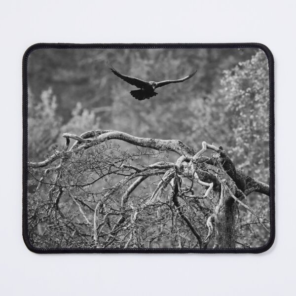 Item preview, In the air. Rraven bw designed and sold by Jouko Lehto Photography.